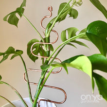 Load image into Gallery viewer, Copper Tree Indoor Plant Stick - Stem Supporter for Houseplants-Plant Stick-On Ya Garden