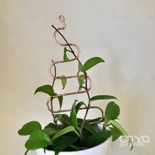Load image into Gallery viewer, Copper Tree Indoor Plant Stick - Stem Supporter for Houseplants-Plant Stick-On Ya Garden