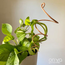 Load image into Gallery viewer, Copper Twirl and Whirl Plant Sticks - Unique Plant Stakes for Indoor Plants-Plant Stick-On Ya Garden