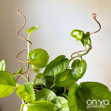 Load image into Gallery viewer, Copper Twirl and Whirl Plant Sticks - Unique Plant Stakes for Indoor Plants-Plant Stick-On Ya Garden