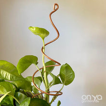 Load image into Gallery viewer, Copper Twirl and Whirl Plant Sticks - Unique Plant Stakes for Indoor Plants-Plant Stick-On Ya Garden