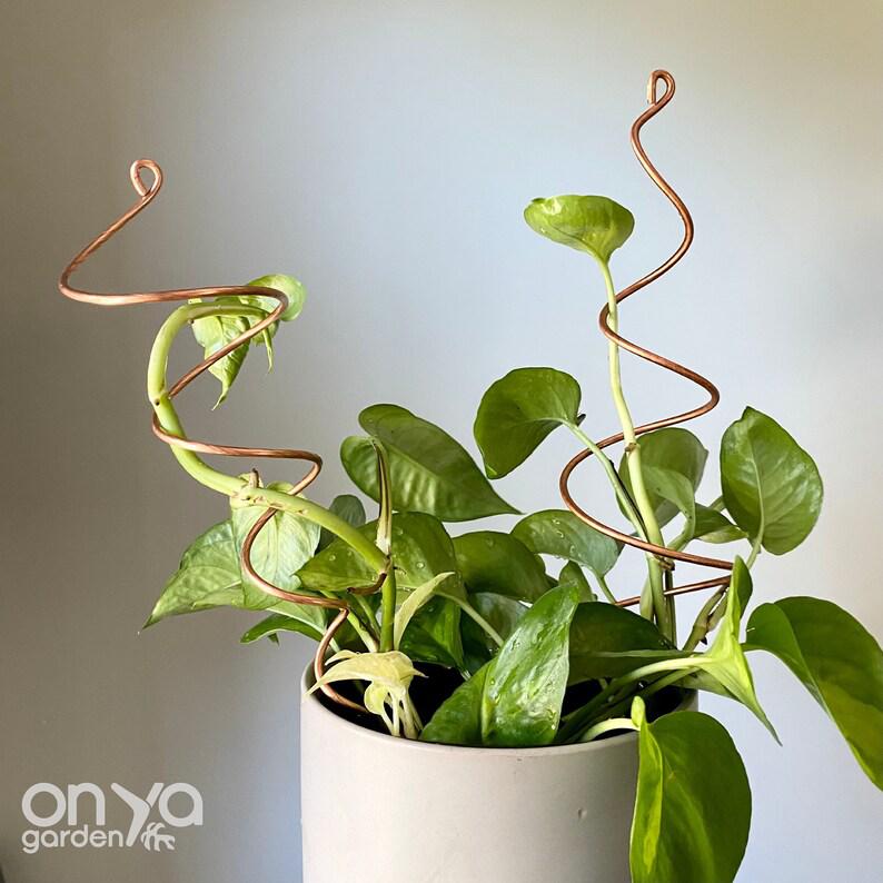 Copper Twirl and Whirl Plant Sticks, Decorative Plant Stakes Copper Twirl and Whirl Set