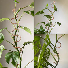 Load image into Gallery viewer, Extra Large Copper Plant Sticks - Choose from 3 Designs - 24" XL Long Plant Stake-Plant Stick-On Ya Garden