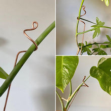 Load image into Gallery viewer, Extra Large Copper Plant Sticks - Choose from 3 Designs - 24" XL Long Plant Stake-Plant Stick-On Ya Garden