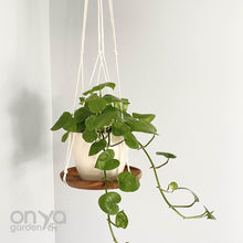 Load image into Gallery viewer, Modern Macramé Hanging Plant Shelf, 8&quot; Round, Hanging Plant Tray
