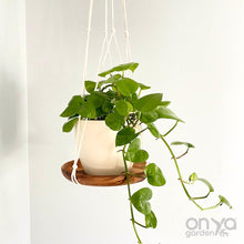Load image into Gallery viewer, Modern Macramé Hanging Plant Shelf, 8&quot; Round, Hanging Plant Tray
