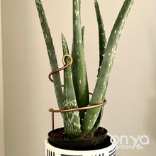Load image into Gallery viewer, Copper Wide Curl Plant Stick, Base Trellis Plant Stake