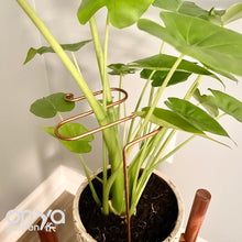 Load image into Gallery viewer, Copper Antenna Plant Stick, Decorative Plant Stake, 3 Lengths