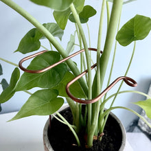 Load image into Gallery viewer, Copper Antenna Plant Stick, Decorative Plant Stake, 3 Lengths