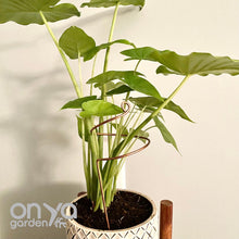 Load image into Gallery viewer, Copper Wide Curl Plant Stick, Base Trellis Plant Stake