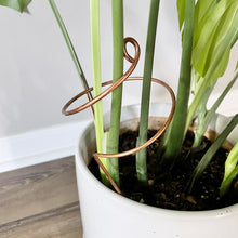 Load image into Gallery viewer, Copper Wide Curl Plant Stick, Decorative Plant Stake
