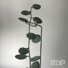 Load image into Gallery viewer, Steel Swizzle Plant Stick, Decorative Plant Stake
