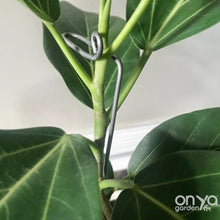 Load image into Gallery viewer, Steel Swizzle Plant Stick, 2 Size Options