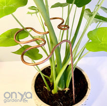 Load image into Gallery viewer, Copper Splash Plant Stick, Decorative Plant Stake, 3 Length Options