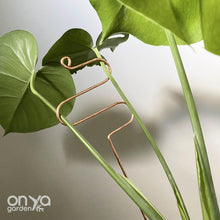 Load image into Gallery viewer, Large Copper Indoor Plant Sticks - Long Stem Supporters for Houseplants-Plant Stick-On Ya Garden