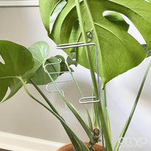 Load image into Gallery viewer, Large Steel Plant Sticks - Long Stem Supporters for Indoor Houseplants-Plant Stick-On Ya Garden