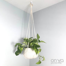Load image into Gallery viewer, Modern Macrame No-Tail Plant Hanger- 3 Lengths Available-Macrame-On Ya Garden