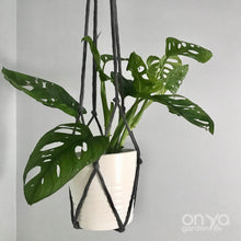 Load image into Gallery viewer, Modern Macrame No-Tail Plant Hanger- 3 Lengths Available-Macrame-On Ya Garden