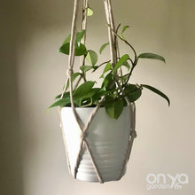 Load image into Gallery viewer, Modern Macrame No-Tail Plant Hanger- 3 Lengths Available-Macrame-On Ya Garden