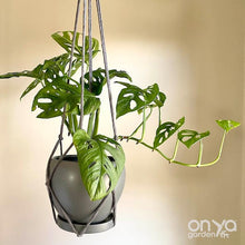 Load image into Gallery viewer, Modern Macrame No-Tail Plant Hanger- 3 Lengths Available-Macrame-On Ya Garden