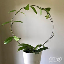 Load image into Gallery viewer, Steel Circle Indoor Houseplant Trellis - 4 sizes available-Trellis-On Ya Garden
