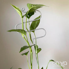 Load image into Gallery viewer, Steel Hairpin Curve Indoor Plant Stick-Plant Stick-On Ya Garden
