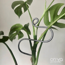 Load image into Gallery viewer, Steel Hairpin Curve Indoor Plant Stick-Plant Stick-On Ya Garden