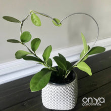 Load image into Gallery viewer, Steel Heart Indoor Plant Trellis - 3 sizes available-Trellis-On Ya Garden