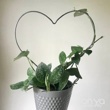 Load image into Gallery viewer, Steel Heart Indoor Plant Trellis - 3 sizes available-Trellis-On Ya Garden