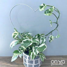 Load image into Gallery viewer, Steel Heart Indoor Plant Trellis - 3 sizes available-Trellis-On Ya Garden
