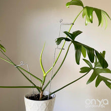 Load image into Gallery viewer, Steel Large Swizzle Plant Stick - 18" Plant Stake for Monsteras and Plant Stems-Plant Stick-On Ya Garden