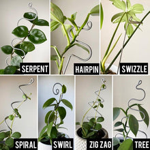 Load image into Gallery viewer, Steel Plant Stick - Indoor Houseplant Stem Supporter - Choose from 16 Options-Plant Stick-On Ya Garden
