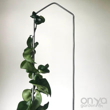Load image into Gallery viewer, Steel Pointed Arch Trellis for House Plants-Trellis-On Ya Garden
