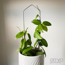 Load image into Gallery viewer, Steel Pointed Arch Trellis for House Plants-Trellis-On Ya Garden