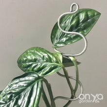 Load image into Gallery viewer, Steel Serpent Plant Stick Stem Supporter-Plant Stick-On Ya Garden
