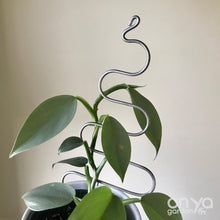 Load image into Gallery viewer, Steel Tree Plant Stick for House Plants and Hoyas-Plant Stick-On Ya Garden