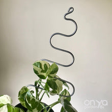 Load image into Gallery viewer, Steel Tree Plant Stick for House Plants and Hoyas-Plant Stick-On Ya Garden
