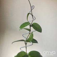 Load image into Gallery viewer, Steel Zig Zag Plant Stick - Stem Supporter for Houseplants-Plant Stick-On Ya Garden