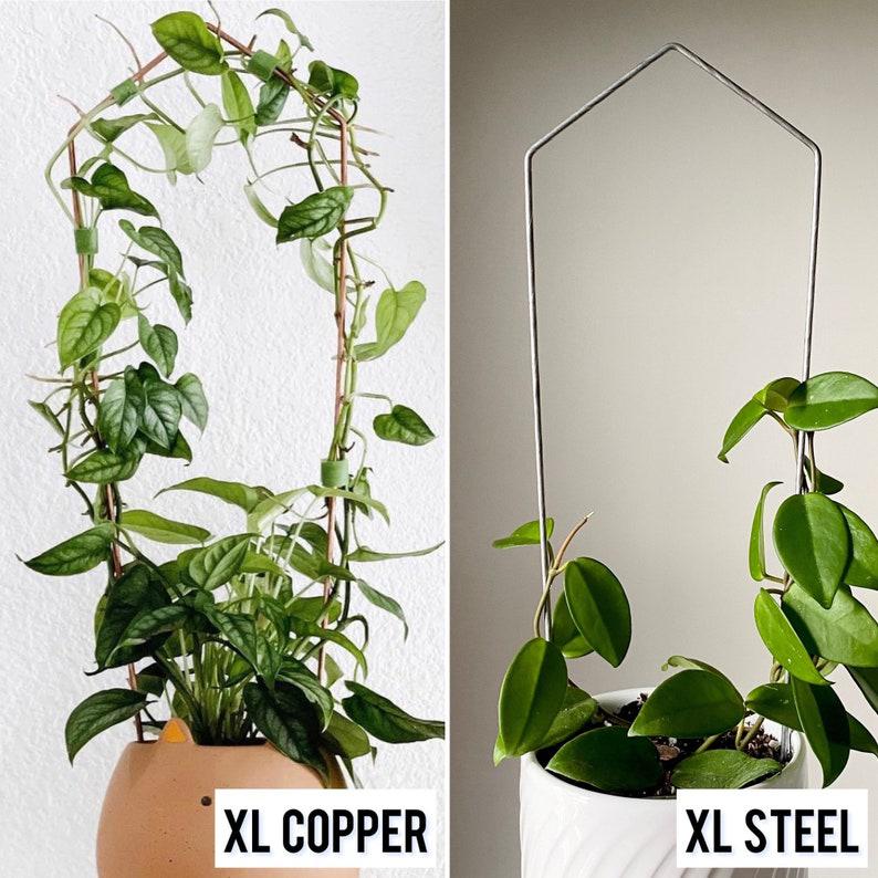 XL 24" Plant Trellis, Tall Arch Trellis, Copper or Steel Spun Copper / Pointed Arch