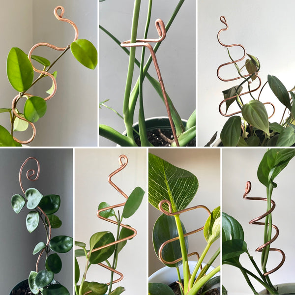 Copper Plant Sticks by On Ya Garden