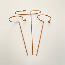Load image into Gallery viewer, Copper Track and Hook Plant Sticks, 2 Designs
