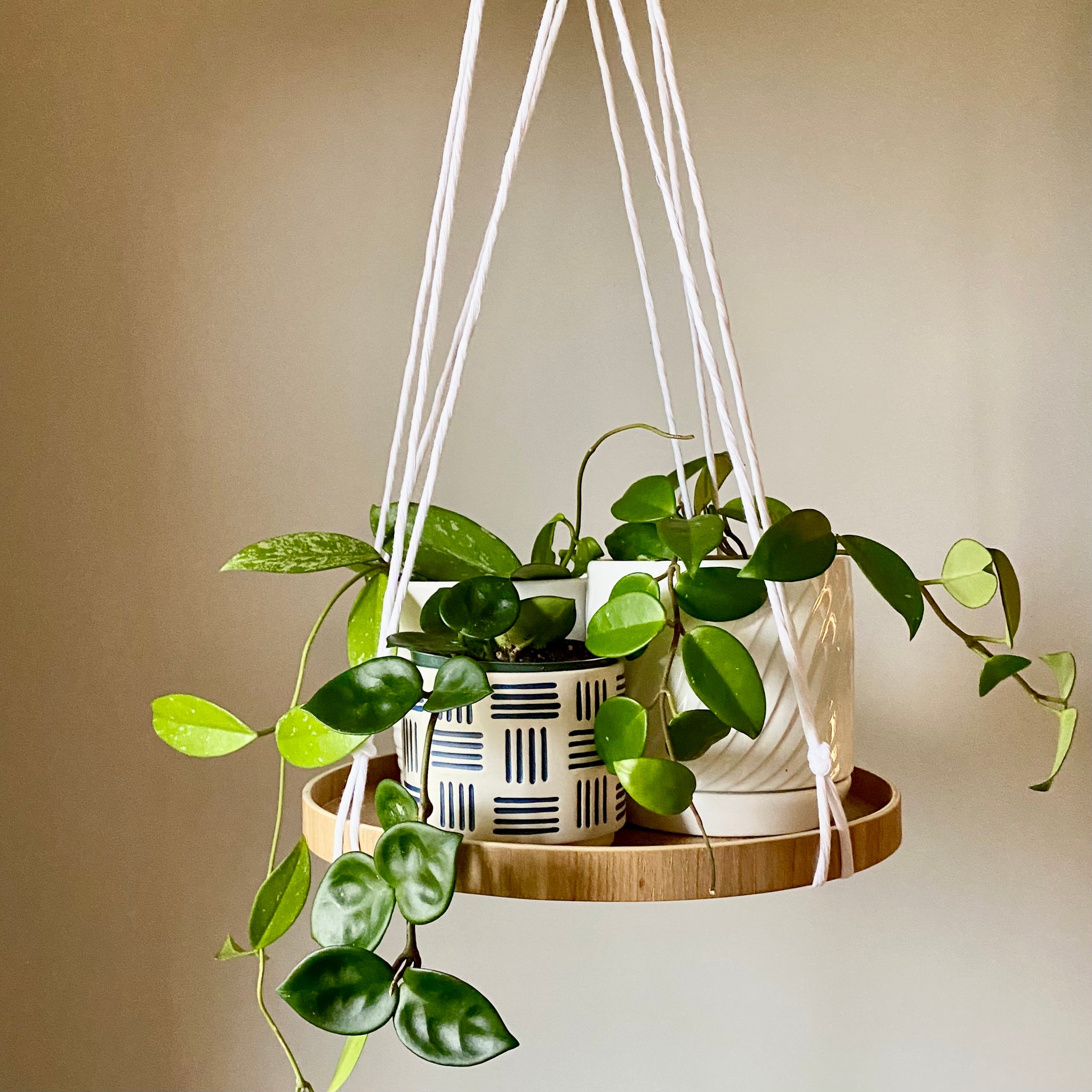 hang plant stand Modern No-Tail Macramé Hanging Plant Shelf, 12" Round, Hanging Plant Tray Navy Blue