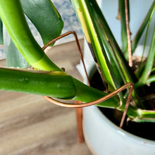 Load image into Gallery viewer, Copper Crescent Plant Stake, Leaning Plant Support
