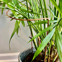 Load image into Gallery viewer, Copper Crescent Plant Stake, Leaning Plant Support
