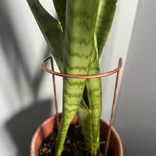 Load image into Gallery viewer, Copper Crescent Plant Stake, Leaning Plant Support
