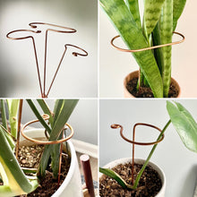 Load image into Gallery viewer, Copper Track &amp; Hook Plant Sticks, Modern Plant Stakes, Set of 3 or Individual
