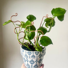Load image into Gallery viewer, Copper Modern Plant Sticks Set of 3, Minimal Plant Stakes
