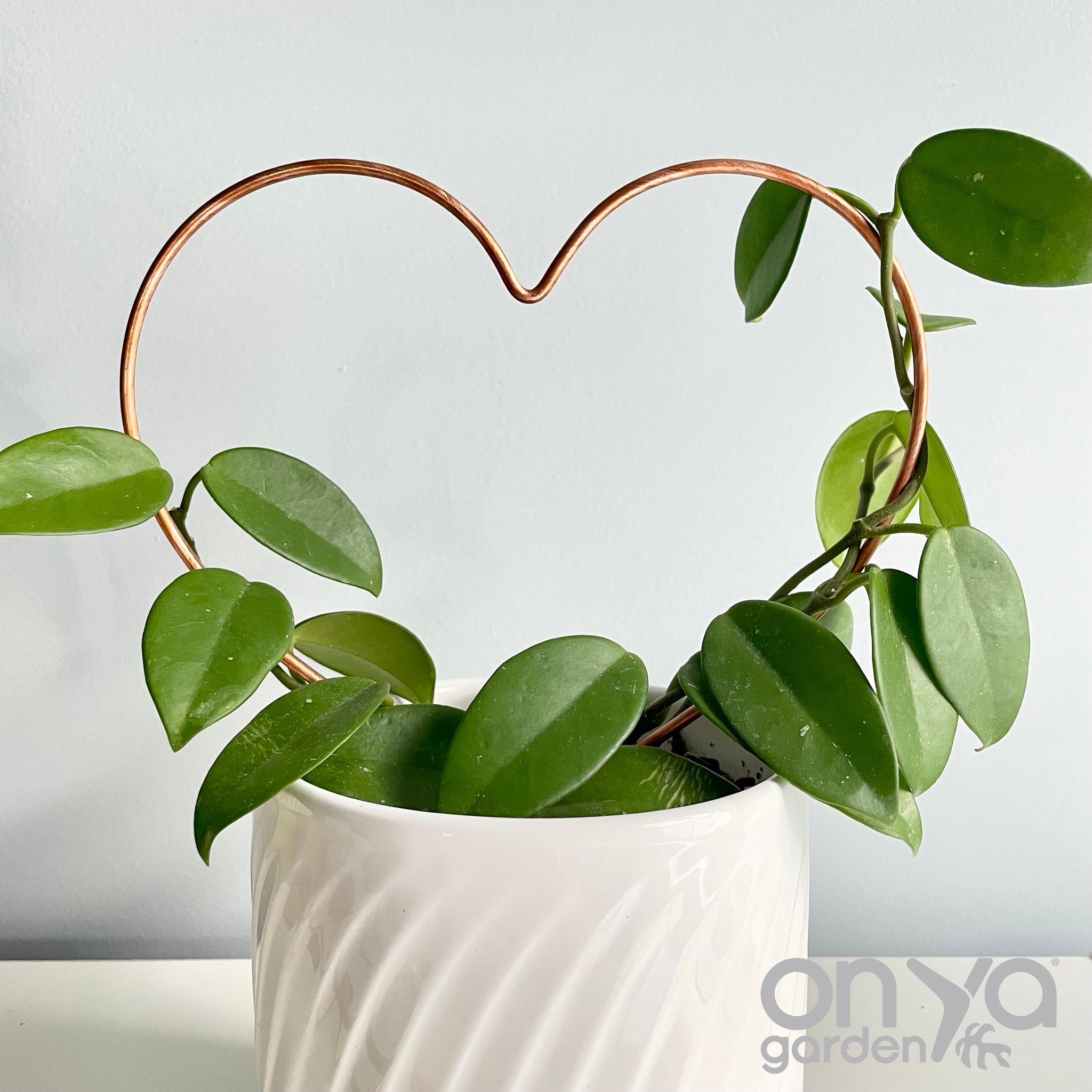 heart trellis for plants Copper Heart Plant Trellis, 3 Size Options 7.5" wide Heart