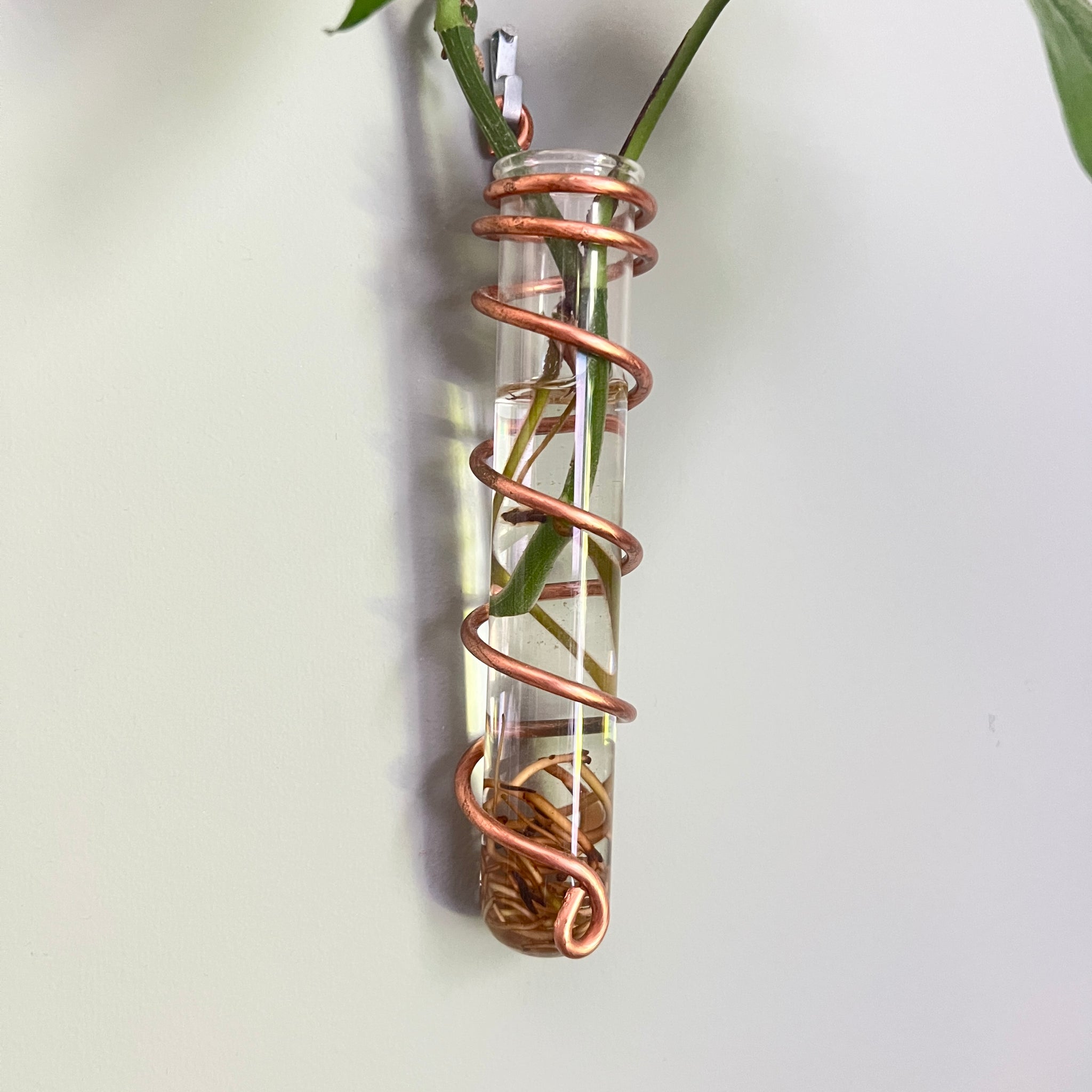 copper wire plant hanger Copper Spiral Propagation Hanger, Hanging Flower Bud Vase