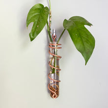 Load image into Gallery viewer, Copper Spiral Propagation Hanger, Hanging Flower Bud Vase
